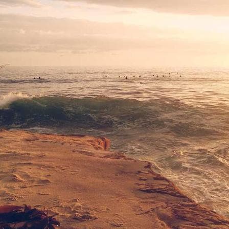 Blackwork Tattooing: Bold, Graphic, and Built to Last